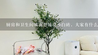 厨房和卫生间墙面想铺设小白砖，大家有什么建议吗？