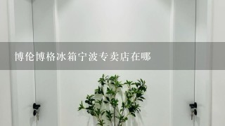 博伦博格冰箱宁波专卖店在哪