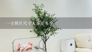 1寸照片尺寸大小是多少