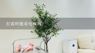 打雷时能看电视吗?