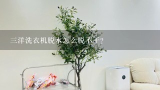 3洋洗衣机脱水怎么脱不干？