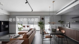 1建挂靠是什么意思