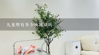 9龙壁有多少块琉璃砖