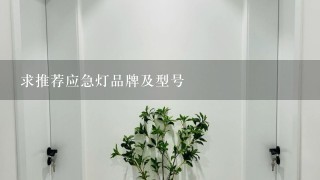 求推荐应急灯品牌及型号