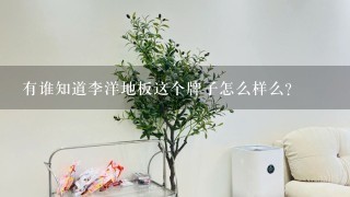 有谁知道李洋地板这个牌子怎么样么？