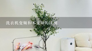 洗衣机变频和不变频的区别