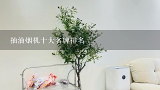 抽油烟机十大名牌排名