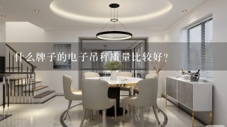 什么牌子的电子吊秤质量比较好？