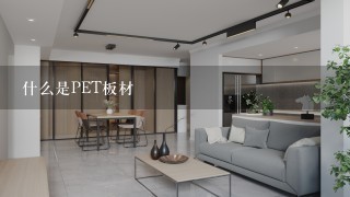 什么是PET板材