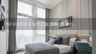 SD卡和SM卡有什么区别啊?具体点