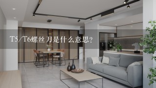 T5/T6螺丝刀是什么意思？