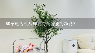 哪个电视机品牌拥有最智能的功能?